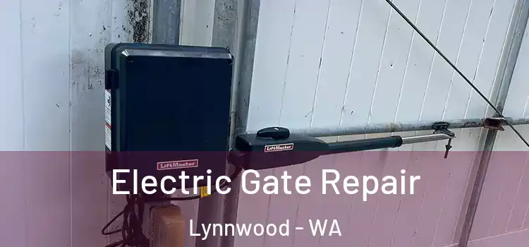 Electric Gate Repair Lynnwood - WA